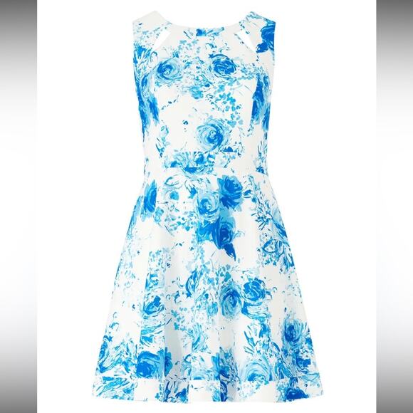 Jay Godfrey Brenda Blue Floral Dress NWOT - Picture 8 of 8